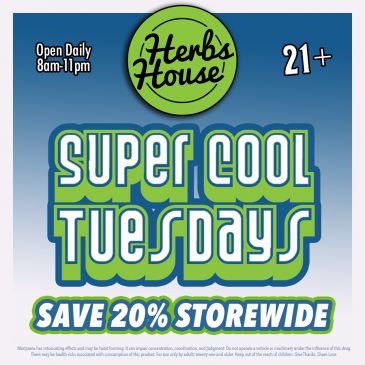 Super Cool Tuesdays Save 20%