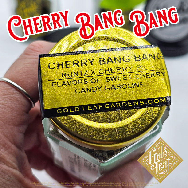 Cherry Bang Bang from Gold Leaf Gardens at Herbs House