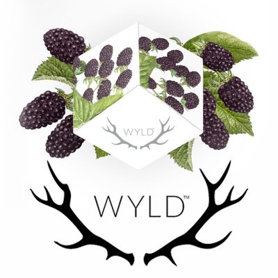 WYLD Vendor Day, Herbs House Vendor, SAVE 20% Thur March 7