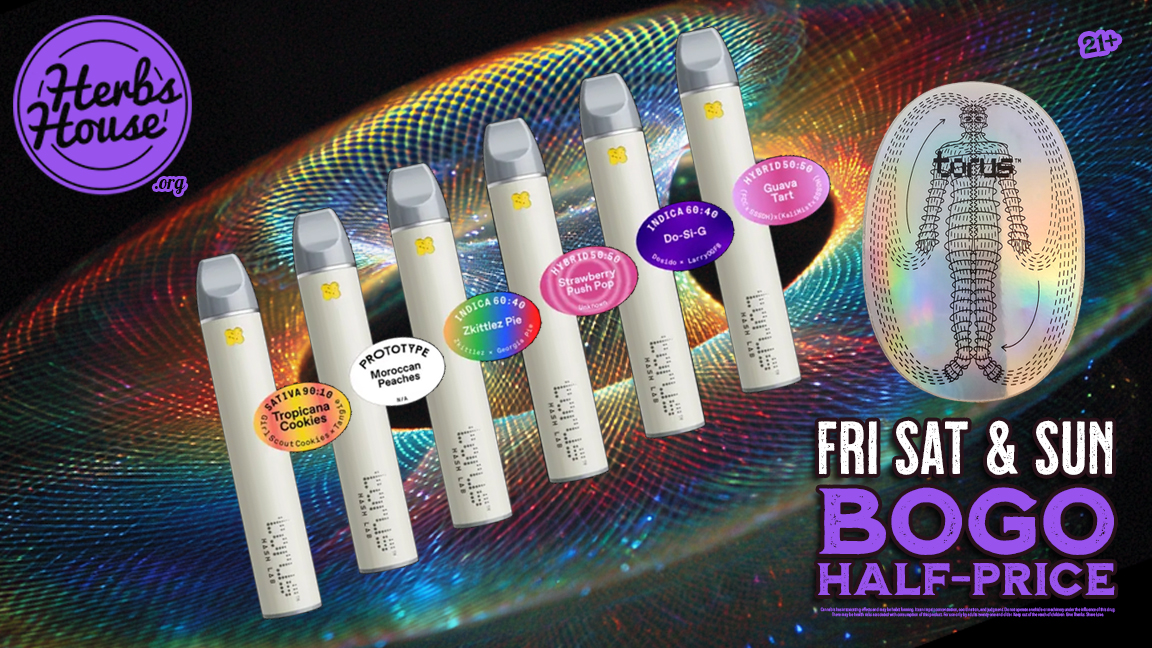 Torus mfused BOGO Deal